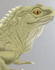 Artwork detail visualisation – Tuatara – head eye