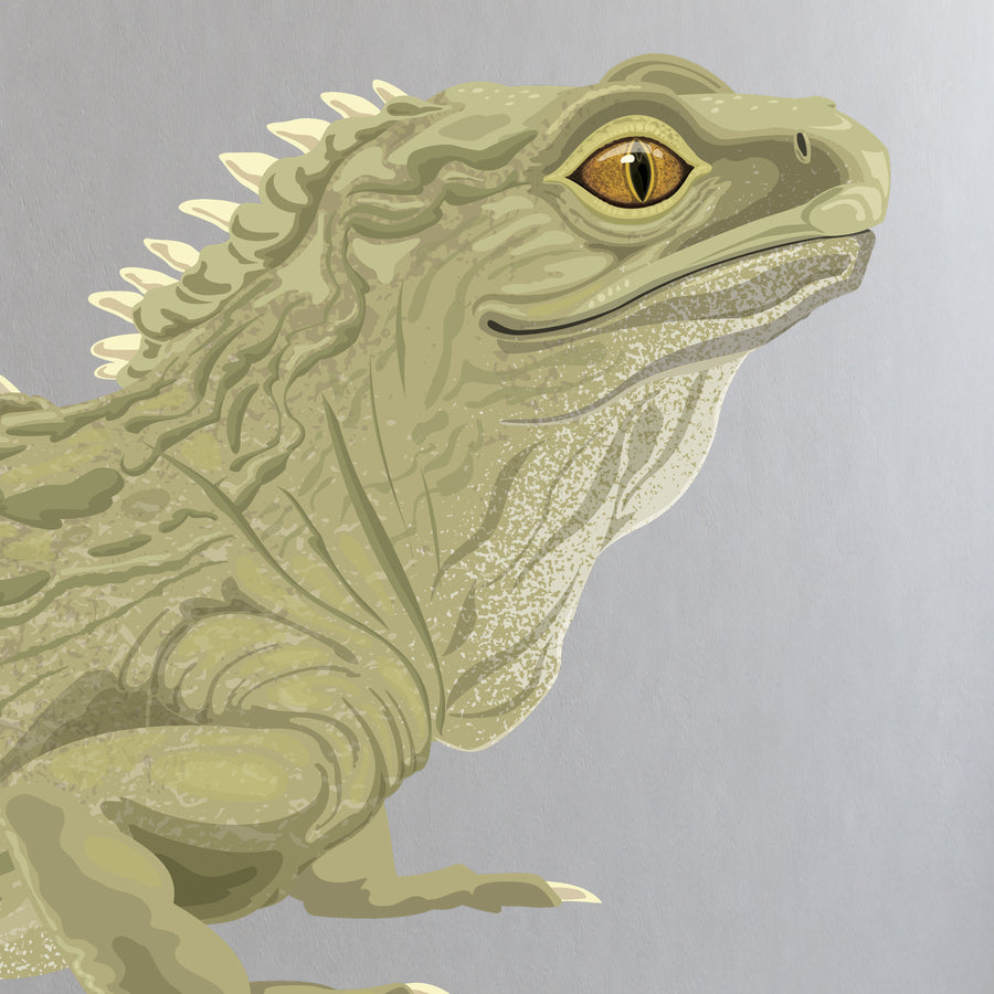 Artwork detail visualisation – Tuatara – head eye