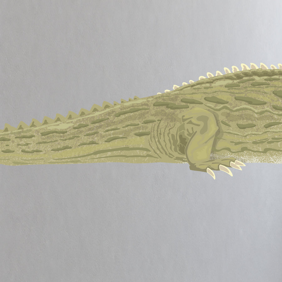 Artwork detail visualisation – Tuatara – tail rear foot