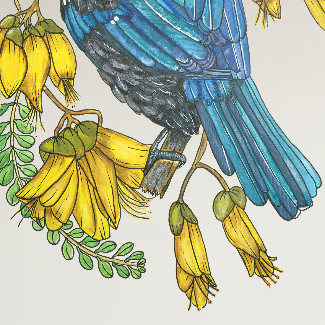 Tūī kōwhai collab