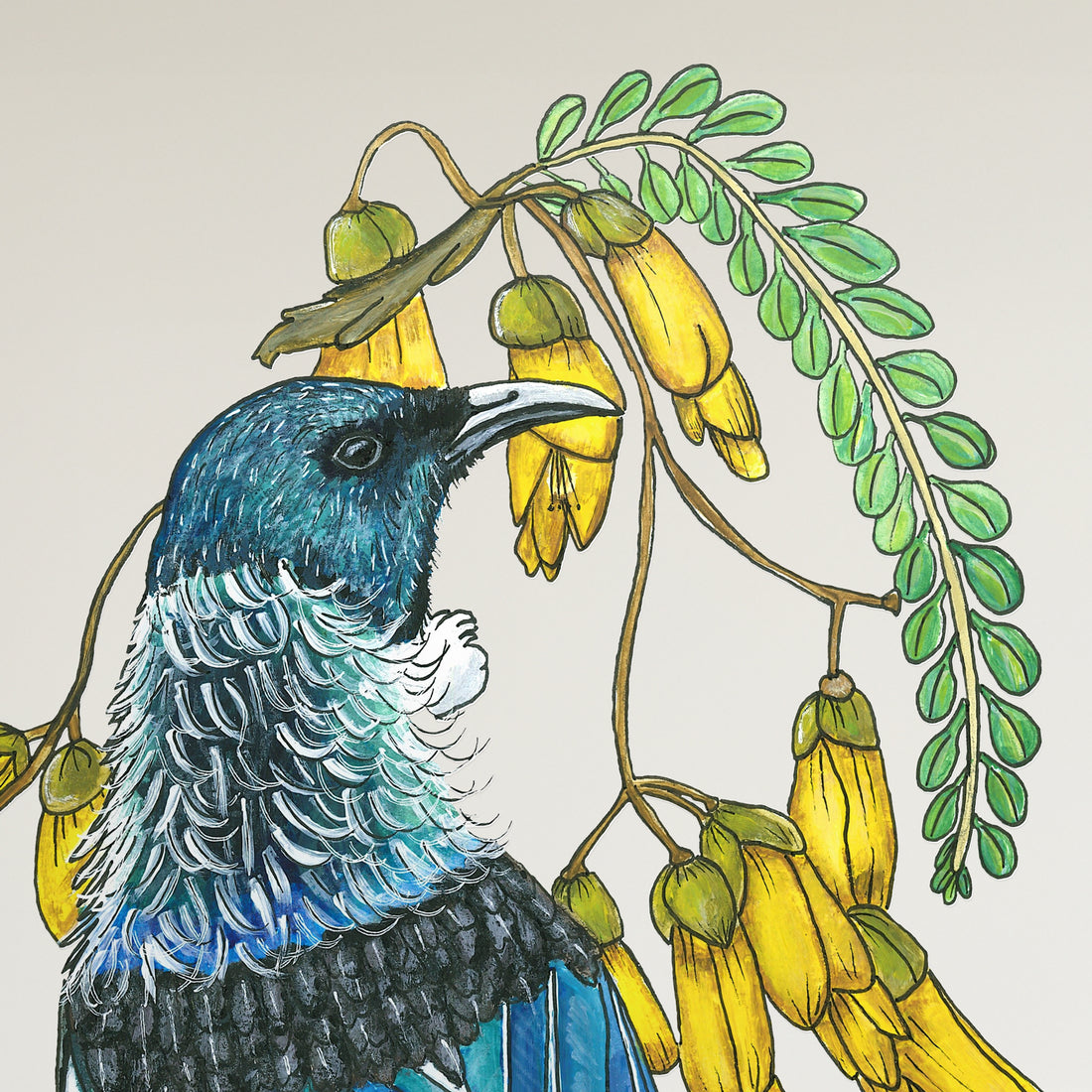 Tūī kōwhai collab