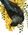 Tui in Kowhai Wall Decal