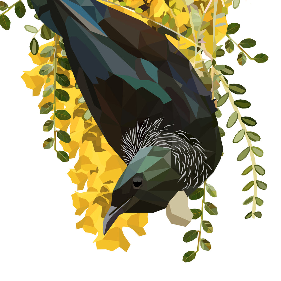 Tui in Kowhai Wall Decal