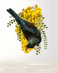 Tui in Kowhai Wall Decal