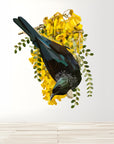 Tui in Kowhai Wall Decal
