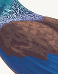 Artwork detail visualisation – Tūī Nest – extreme close-up of throat striations and feather texture