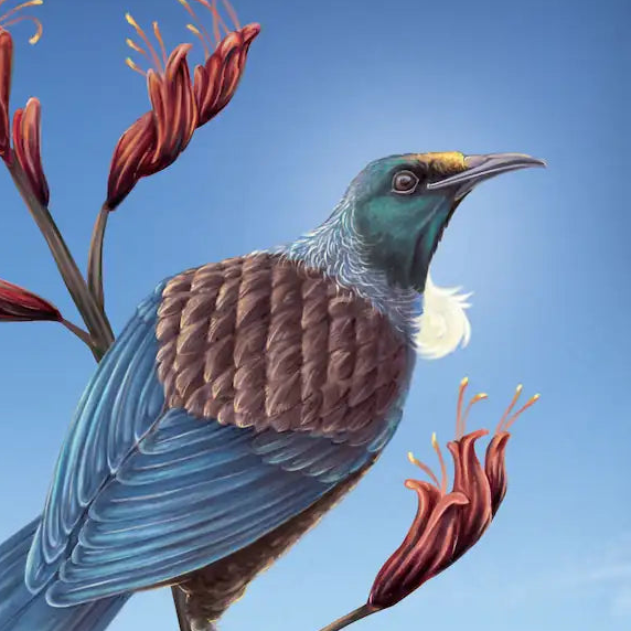 Native birds & Kiwiana