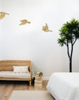 Wooden Flying Tuis