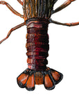 NZ Native Crayfish