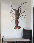 NZ Native Crayfish