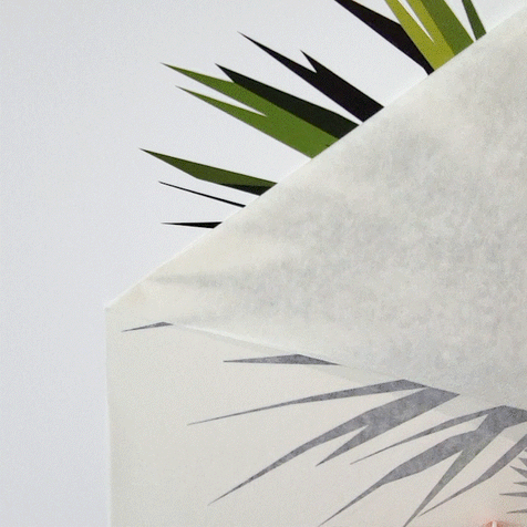 How To Install Wall Decals Murals Yds Studio