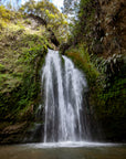 NZ Waterfall Mural 1