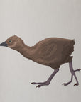 Artwork detail visualisation – Weka Family – chick feathers feet