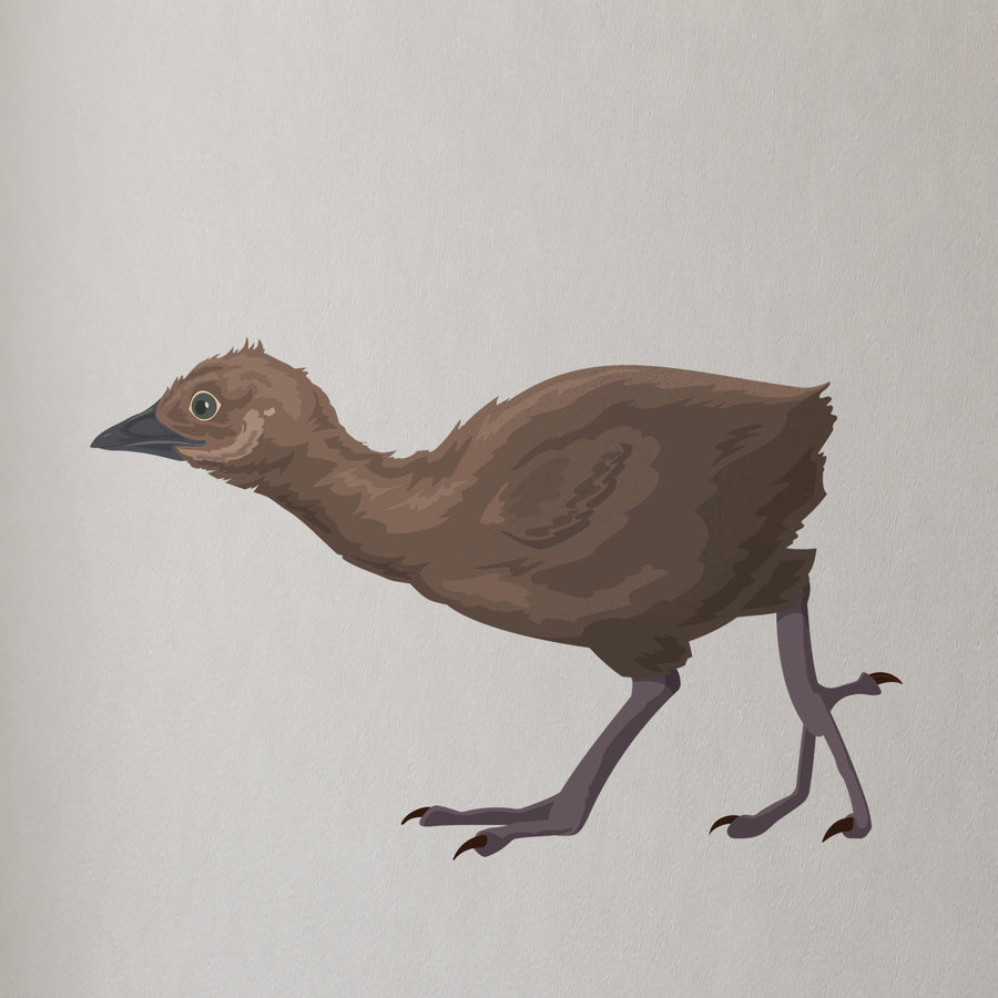 Artwork detail visualisation – Weka Family – chick feathers feet