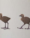 Artwork detail visualisation – Weka Family – chicks pair