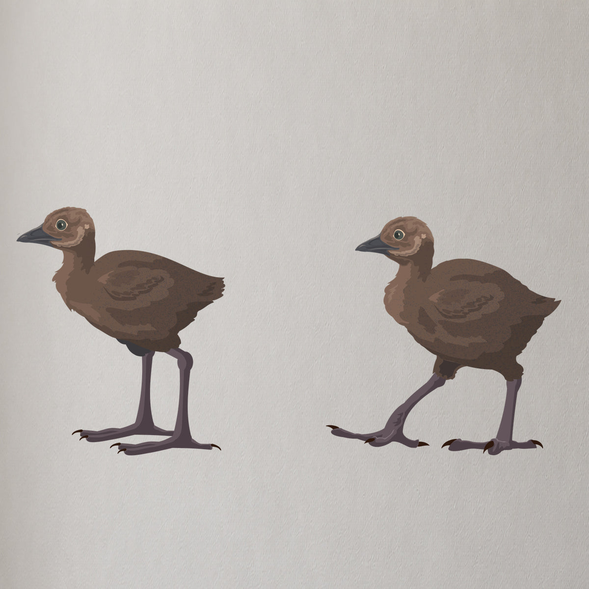 Artwork detail visualisation – Weka Family – chicks pair