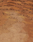 Artwork detail visualisation – Weka Family – extreme feather pattern