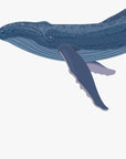 Artwork detail: straight-on close-up of the humpback calf face