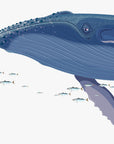 Straight-on detail of the mother whale illustration