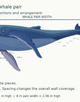 Whale pair sizing guide: fish supplied separately