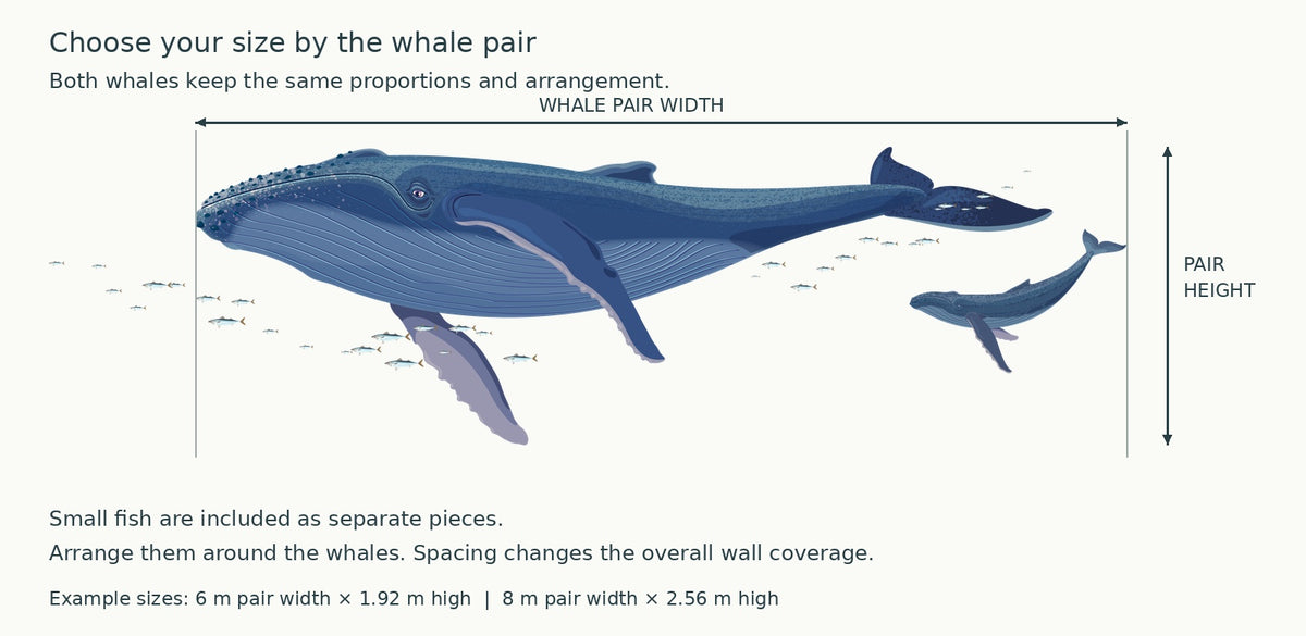 Whale pair sizing guide: fish supplied separately