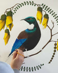 Artistic Series Tui in Kowhai Art Print