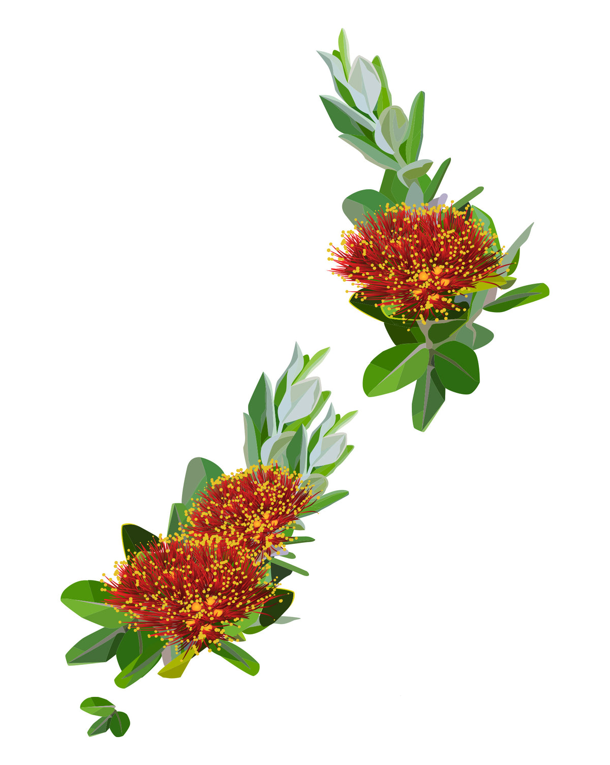 NZ Pohutukawa Map Wall Decal