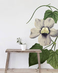 Blue Flowered Thunbergia Wall Decal
