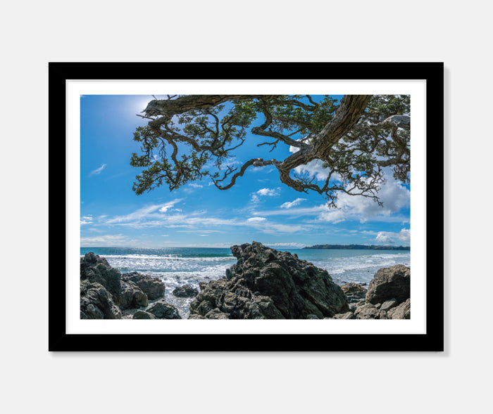 NZ Summer Art Print Your Decal Shop Wall Decal NZ