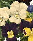 Bouquet of Pansies Wall Decal