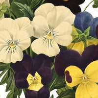 Bouquet of Pansies Wall Decal