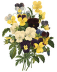 Bouquet of Pansies Wall Decal