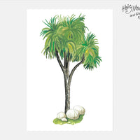 Hairy Maclary Cabbage Tree Art Print