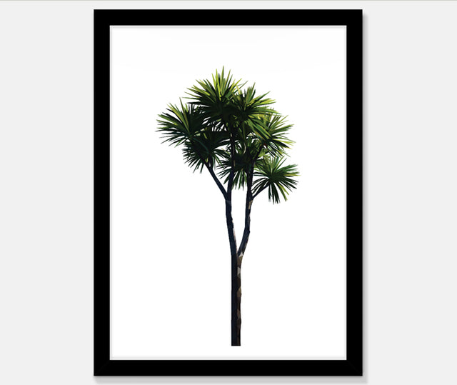 Cabbage Tree Art Print