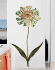 Caucasean Scabious Wall Decal