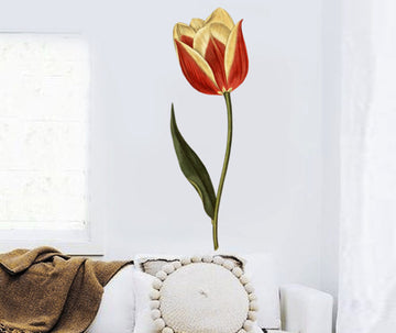 Claramond Tulip Wall Decal