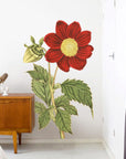 Crimson Flowered Dahlia Wall Decal