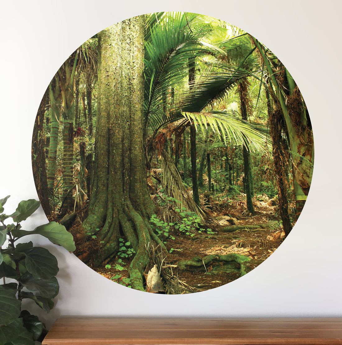 Enter the Forest Mural Dot Your Decal Shop Wall Decal NZ