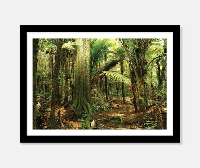 Enter the Forest Art Print Your Decal Shop Wall Decal NZ