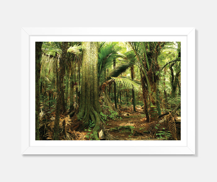 Enter the Forest Art Print Your Decal Shop Wall Decal NZ