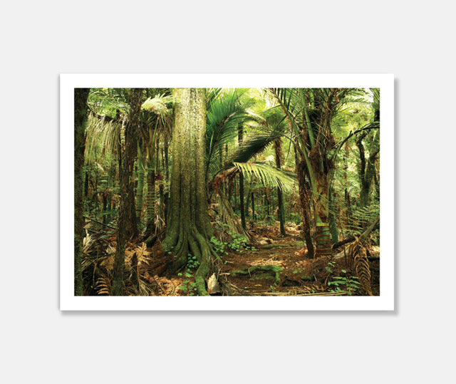 Enter the Forest Art Print