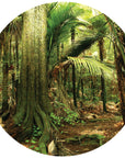 Enter the Forest Mural Dot Your Decal Shop Wall Decal NZ