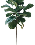 Fig Tree Wall Decal Your Decal Shop Wall Decal NZ