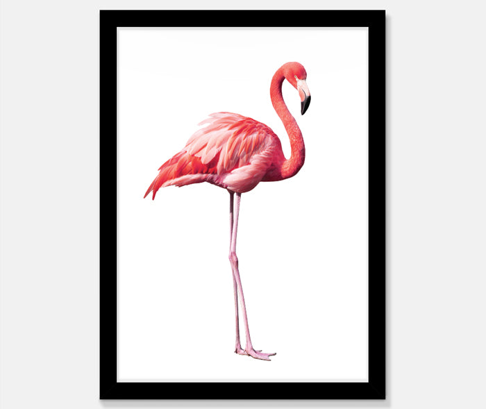 Flamingo Art Print Your Decal Shop Wall Decal NZ