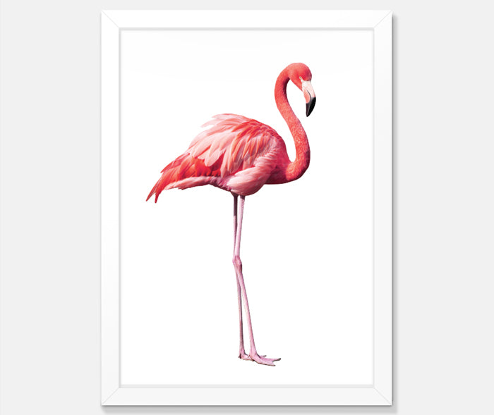 Flamingo Art Print Your Decal Shop Wall Decal NZ