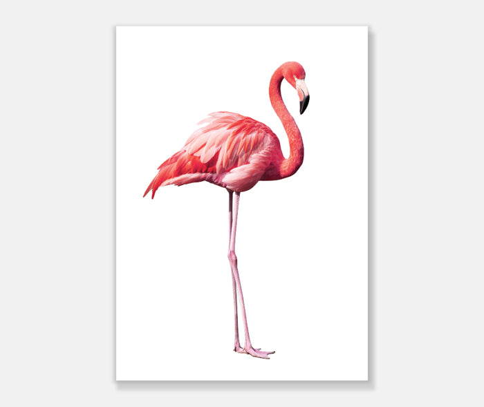 Flamingo Art Print Your Decal Shop Wall Decal NZ