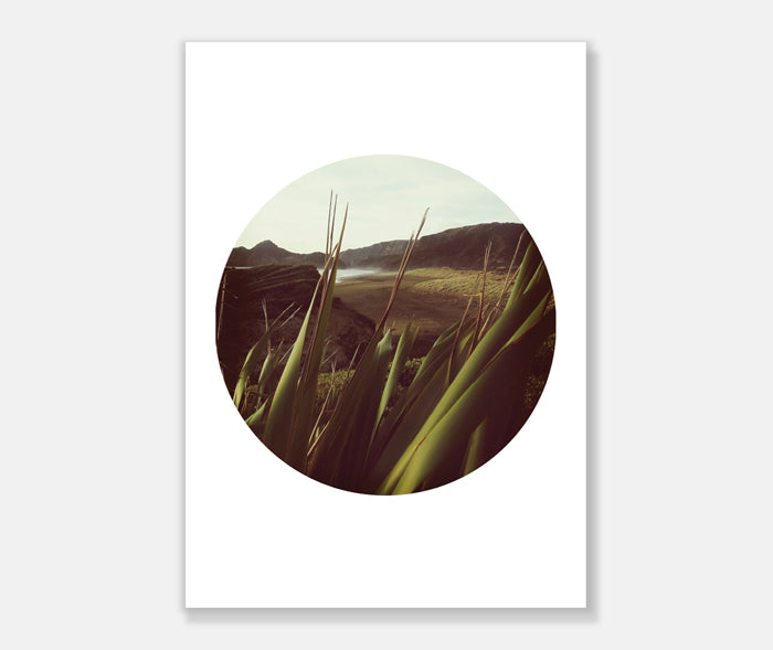 Flax View Art Print Your Decal Shop Wall Decal NZ