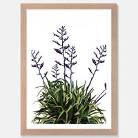 Flax Art Print Your Decal Shop Wall Decal NZ