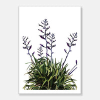 Flax Art Print Your Decal Shop Wall Decal NZ