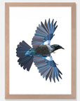 Flying Tui Art Print Your Decal Shop Wall Decal NZ